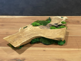 Boomstam tafel decoratie (1)