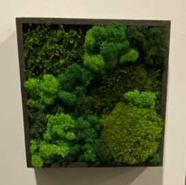 Vierkant mos schilderij (klein)