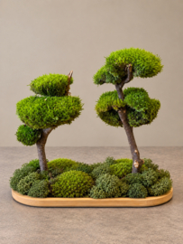 DIY Mosschaal met boompjes (2)