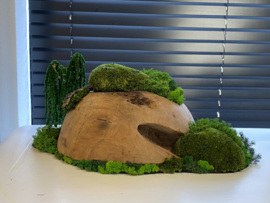 Decoratieve (halve) houten bol (4)