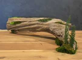 Boomstam tafel decoratie (2)