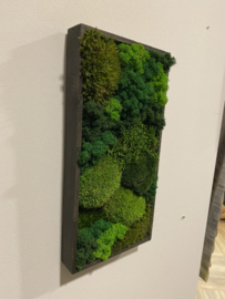 Rechthoekig mos schilderij (middel)