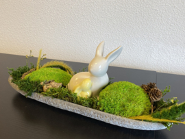 Kleine mosschaal