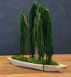 Mosboom - Amaranth Mosboom - Xl