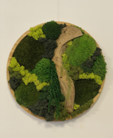 Mosschilderij / rond (39)