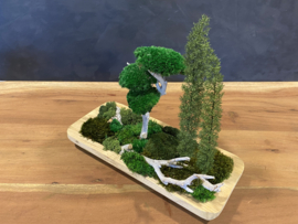 Naturel houten schaal (boompjes)