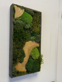 Mosschilderij rechthoek (1)
