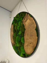 Super elegante rond mosschilderij