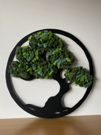 Tree of Life