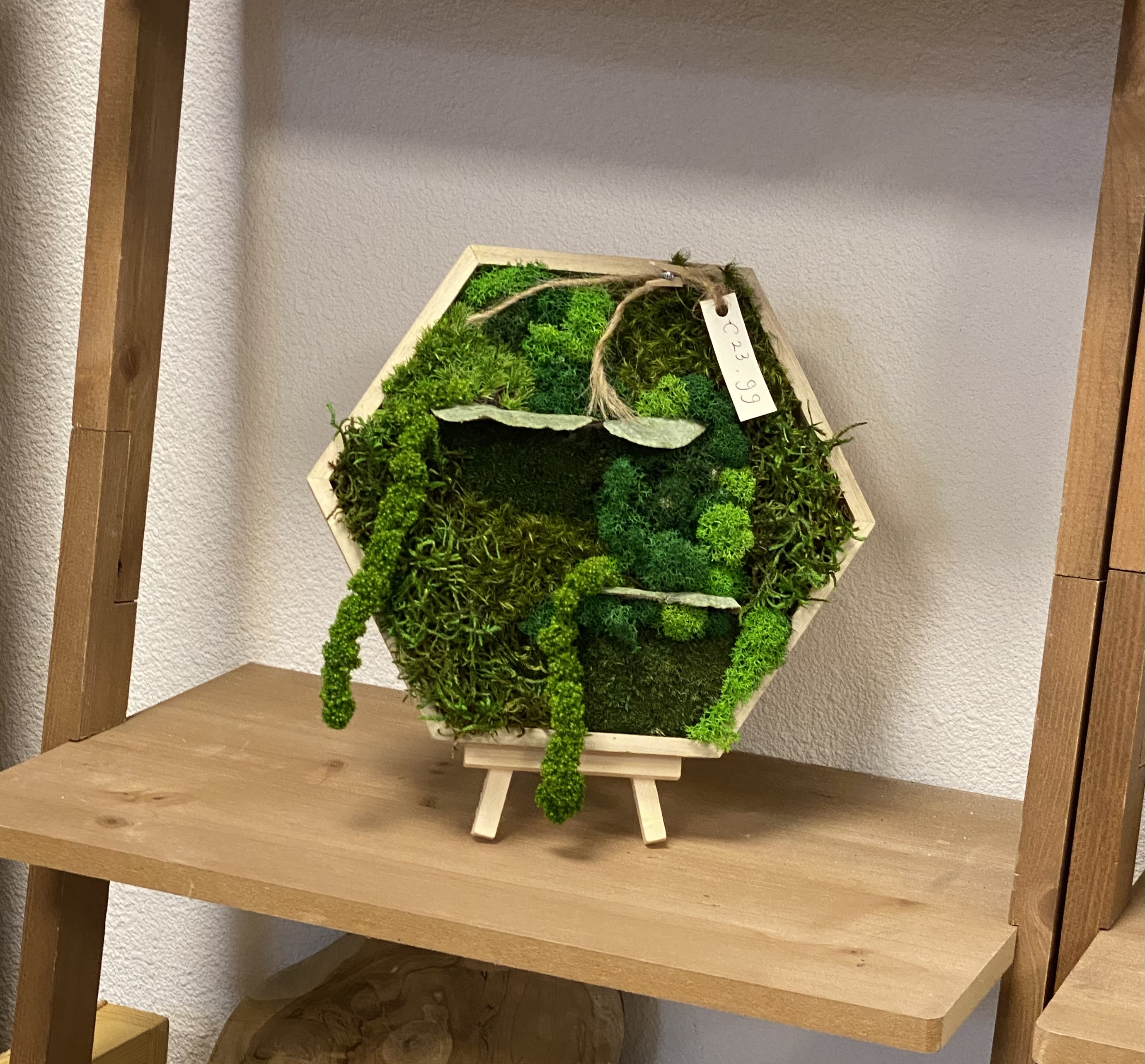 Hexagon mosschilderij (2)
