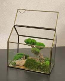 Mini landschap in glazen huisje