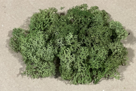 Levensboom (boom aan zijkant)