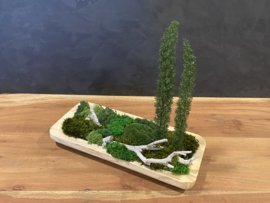 Naturel houten schaal (boompjes)
