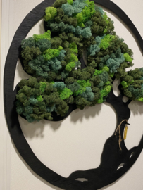Tree of Life