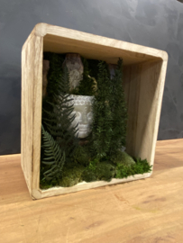 Moscreatie - Mos Forest Zen