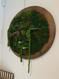 Mosschilderij - Verborgen Woud