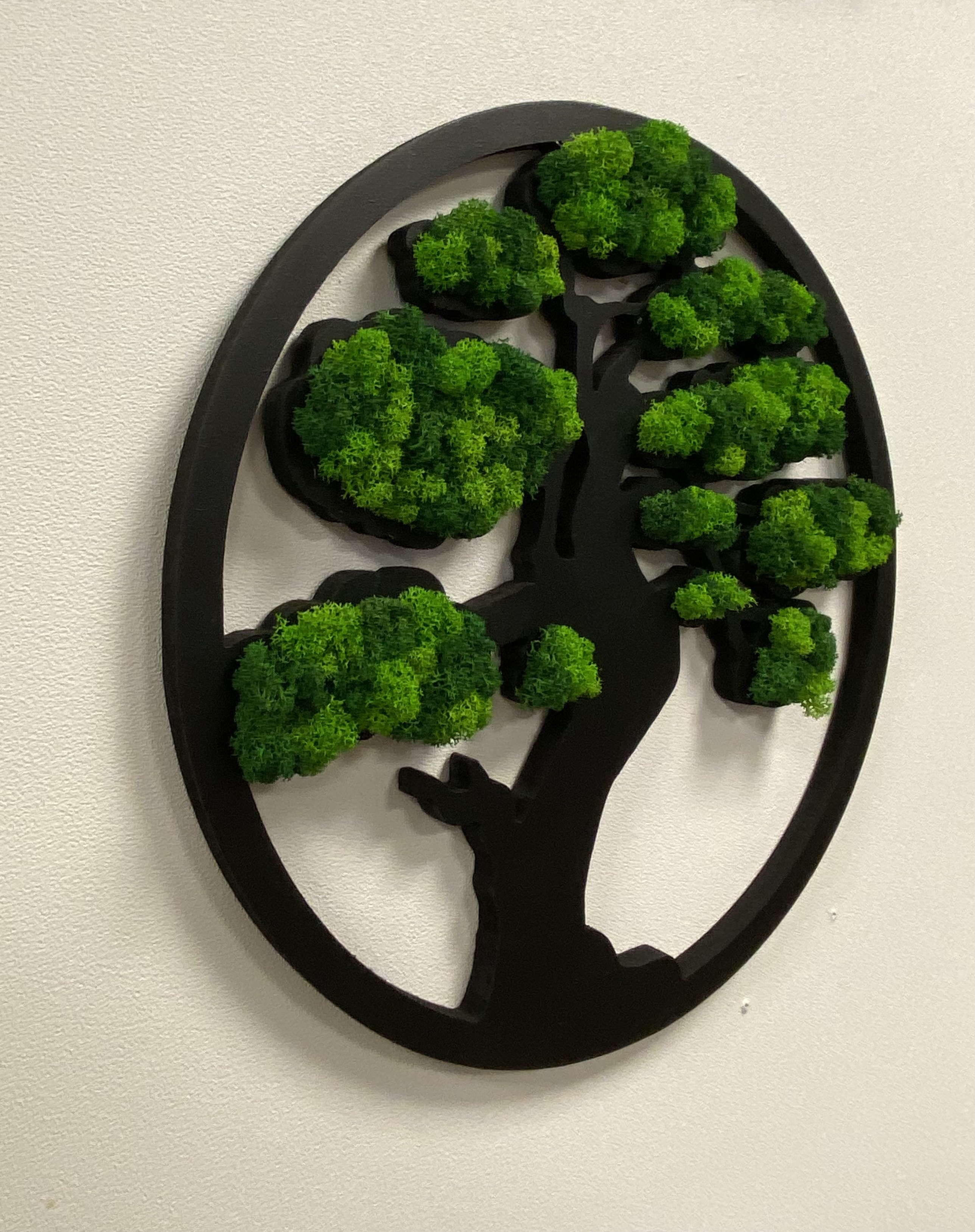 Levensboom (5)
