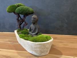 Boedha in a Mossforest