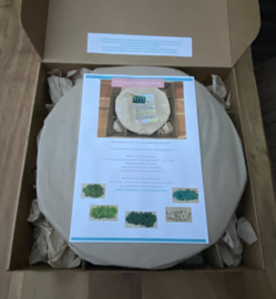 DIY pakket De Levensboom (1)