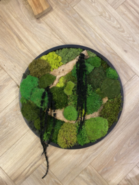 Mosschilderij / rond (39)