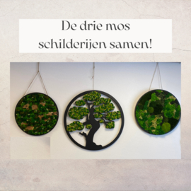 Mos schilderijen set van 3