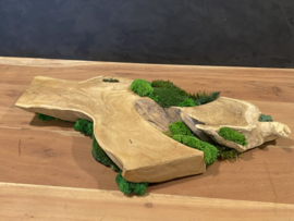 Boomstam tafel decoratie (1)