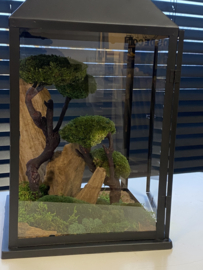 Windlicht met houten rots en bolmos boompjes