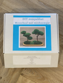 DIY Mosschaal met boompjes (1)
