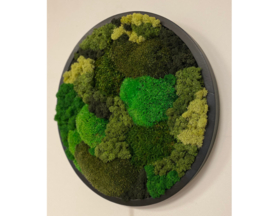 Mos schilderij rond (2)