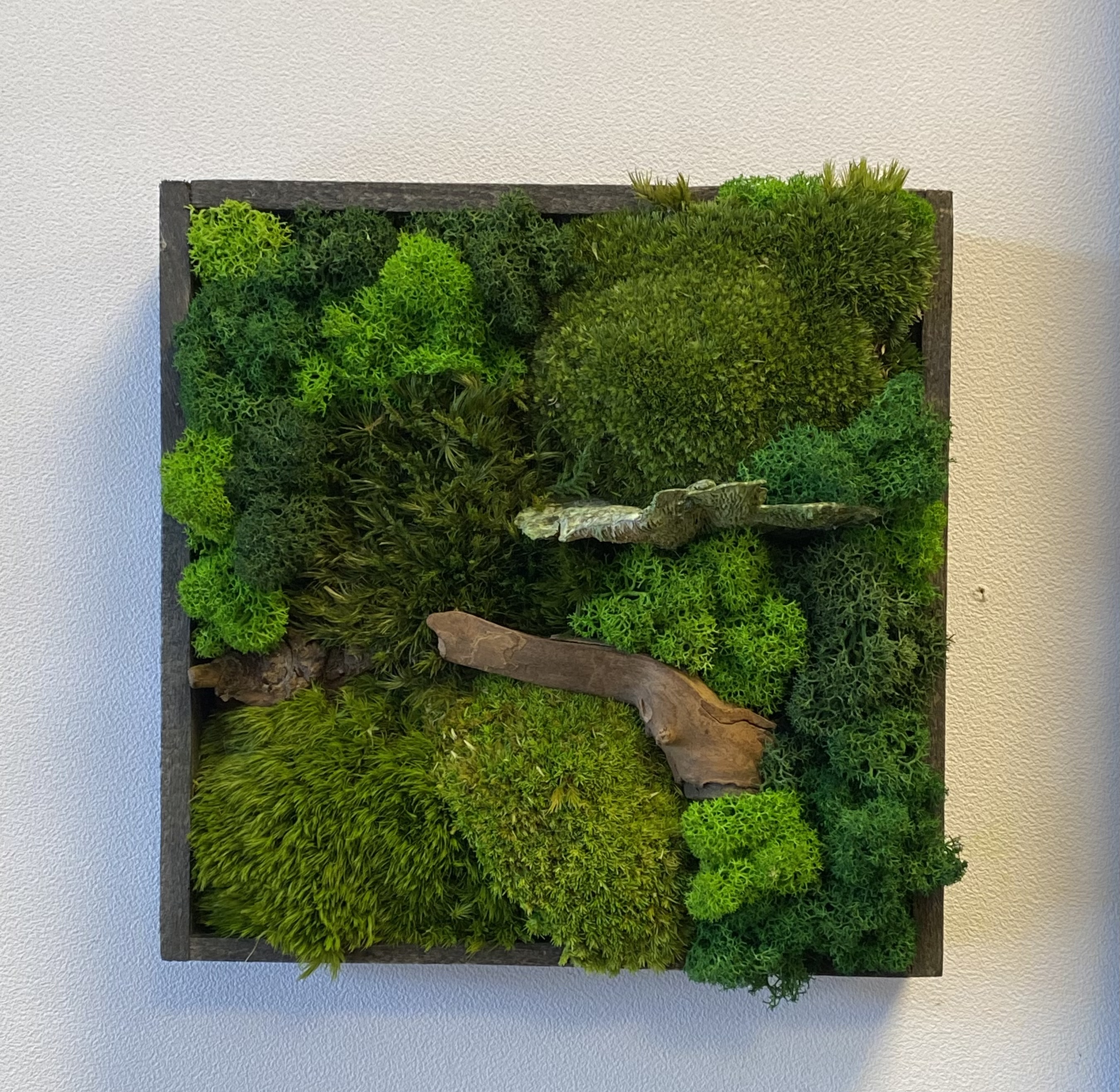 Vierkant mos schilderij (A)