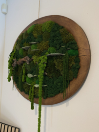 Mosschilderij - Verborgen Woud