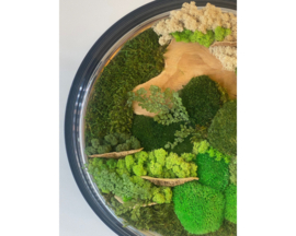 Mosschilderij ‘oude klok’