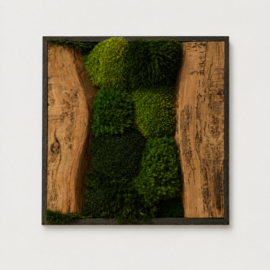 Mosschilderij vierkant - medium