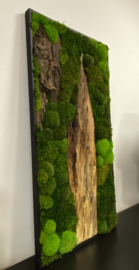 Nature mos schilderij met robuust hout