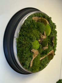 Mosschilderij ‘oude klok’ (2)