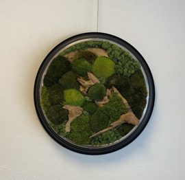 Mosschilderij - Tijdloos Groen (2)