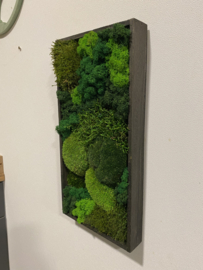 Rechthoekig mos schilderij (middel)