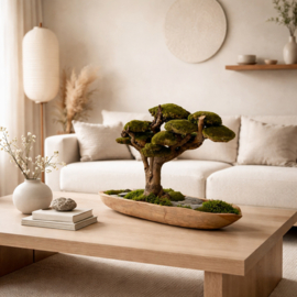 Robuust bootvormige schaal met xxl mosboom