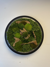 Mosschilderij ‘oude klok’ (2)