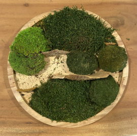 Mos schilderij (rond)
