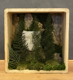Moscreatie - Mos Forest Zen