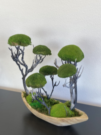 Moss forest