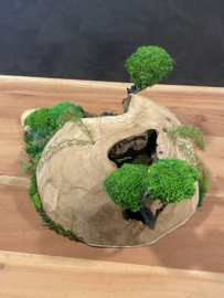 Decoratieve (halve) houten bol (1)