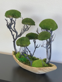 Moss forest