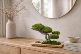 Houten schaal met mosboom (1)