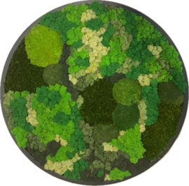 Mosschilderij / rond (38)