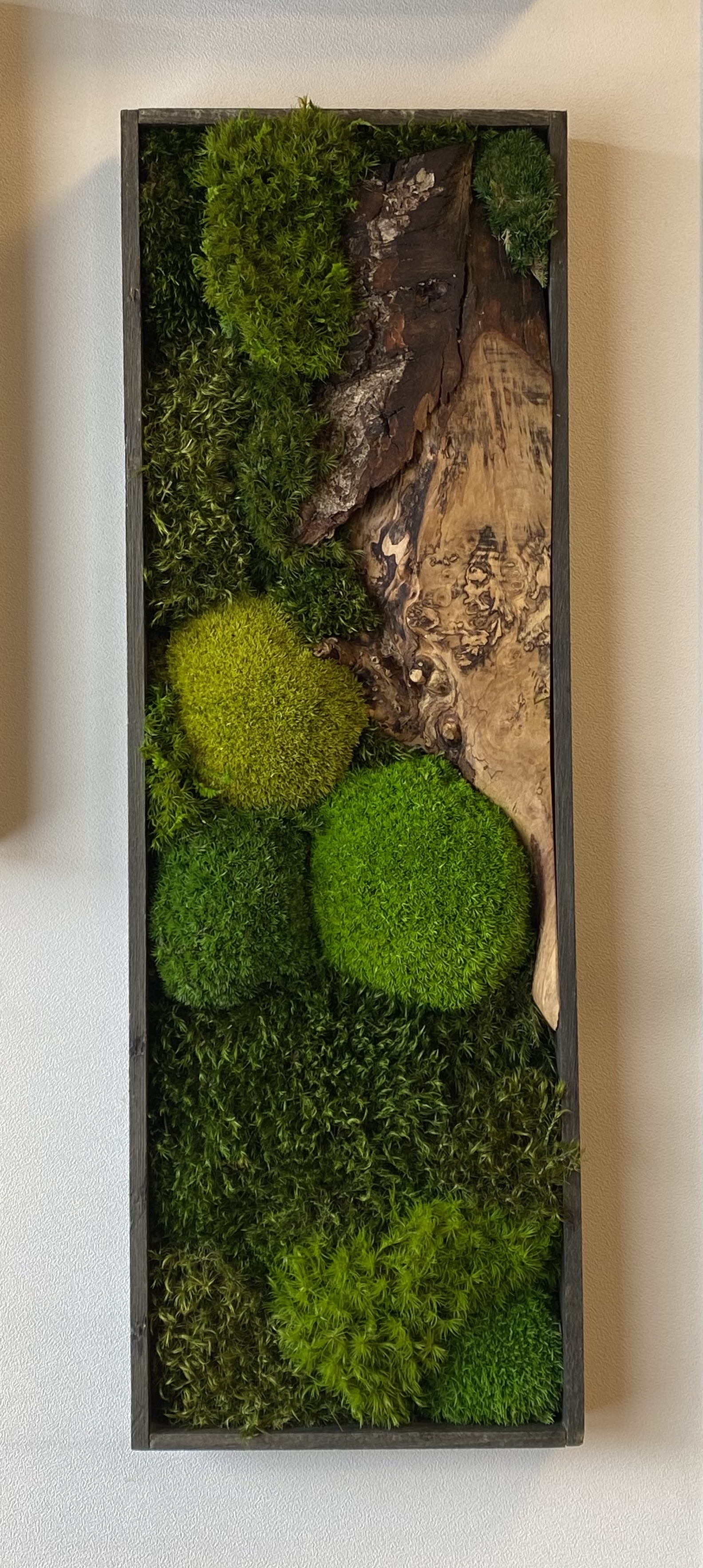 Rechthoekig mos schilderij (1C)