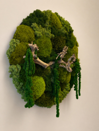Mosschilderij - Green Forest (2)
