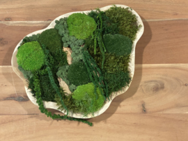 Organisch mosschilderij