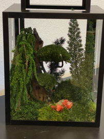 Windlicht met mini jungle